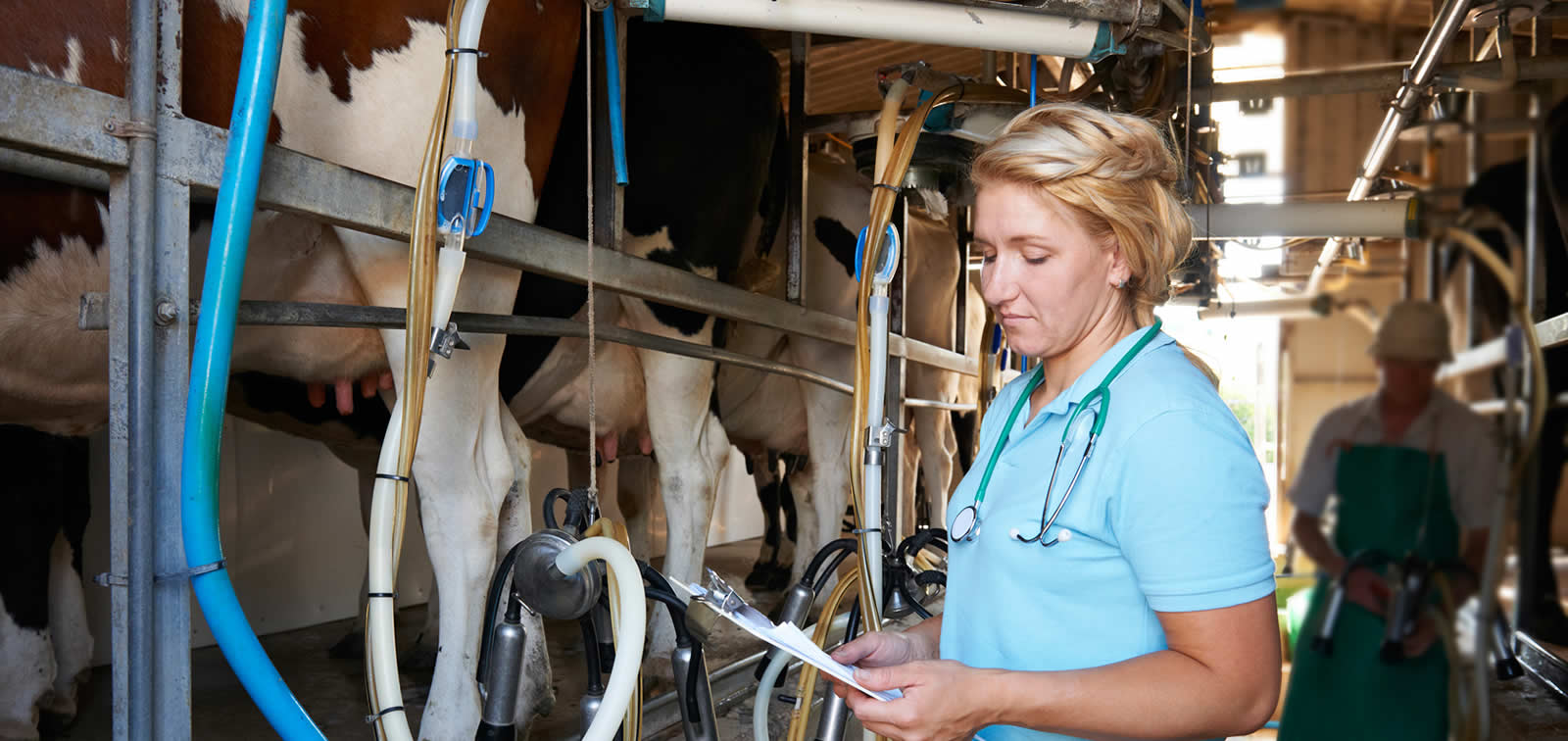 Parallax Background Image