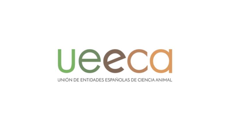 ueeca logo